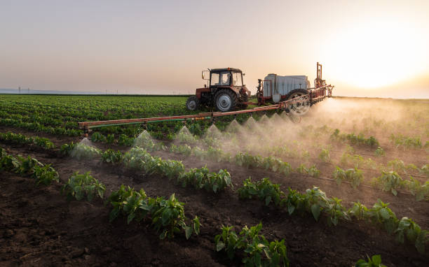 Best Ant Control Services  in Highlands, TX