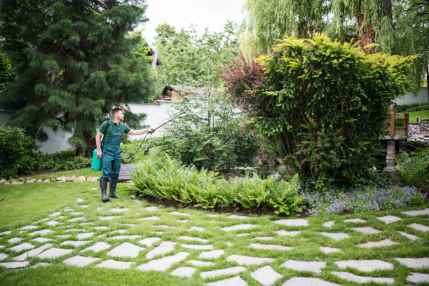 Best Wasp Removal Services  in Highlands, TX