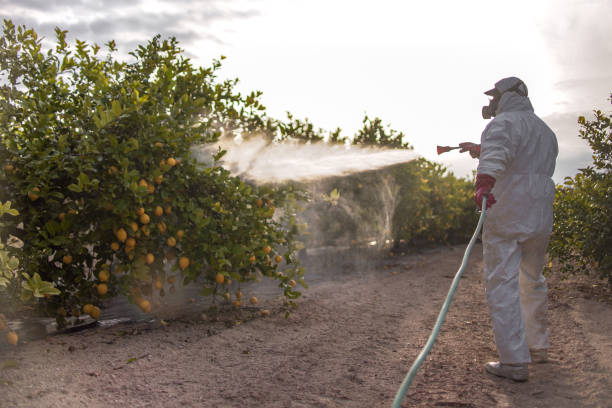 Best Wildlife Control Services  in Highlands, TX