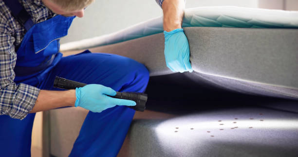 Best Best Pest Control Companies  in Highlands, TX