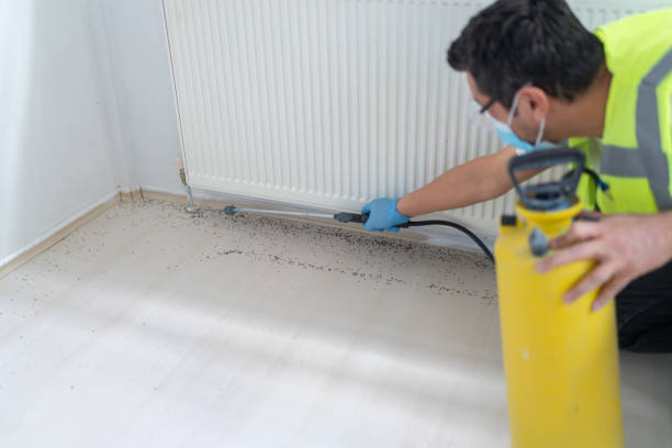 Best Termite Control Services  in Highlands, TX