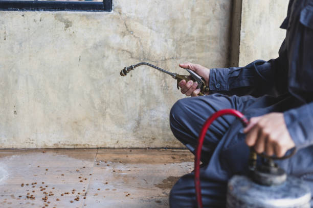 Best Best Pest Control Companies  in Highlands, TX